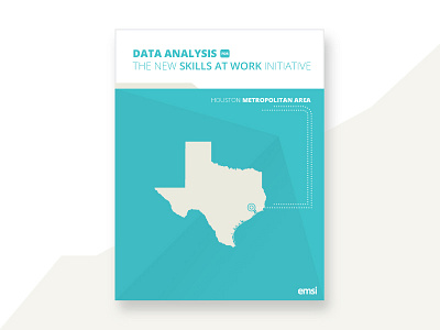 Data Analysis for Houston Metro Area - Cover