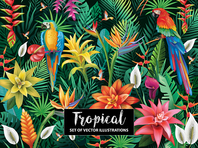 Tropical backgrounds botanical illustration graphic design paradise