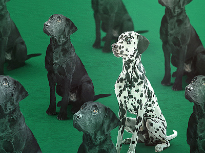 Radler - Regular is boring black dalmatian design dog graphic green labrador patch pattern poster radler