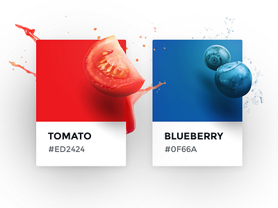 Color cards concept blue blueberry card color design fruit graphic guide interface pantone red style tomato ui vegetable