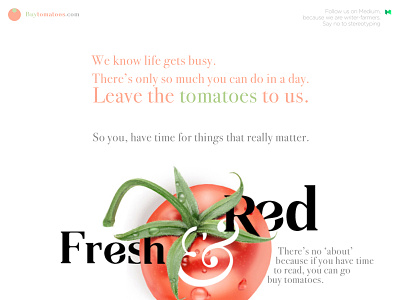 DailyUI // Day 3 : Landing page 003 buytomatoes landingpage layout red serif startup tomato tomatoes typography
