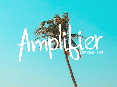 Amplifier font