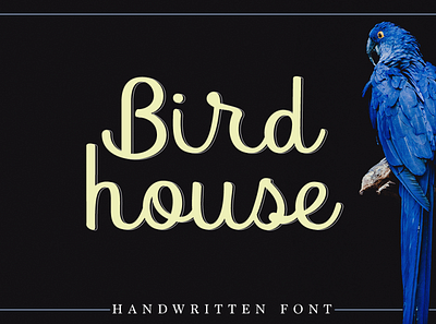 Bird House handwritten font