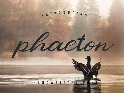 Phaeton social media