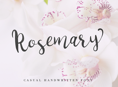 Rosemary social media