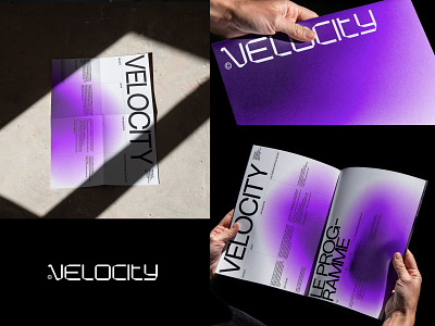 Velocity© Brand identity