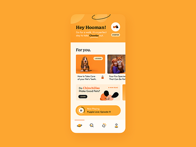 Hooman - Designflows 2020 animals app design illustration minimal pets ui userinterface ux