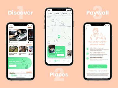 Paws - Designflows 2020 bendingspoons cards design designflows designflows2020 map paywall pets stories ui uidesign