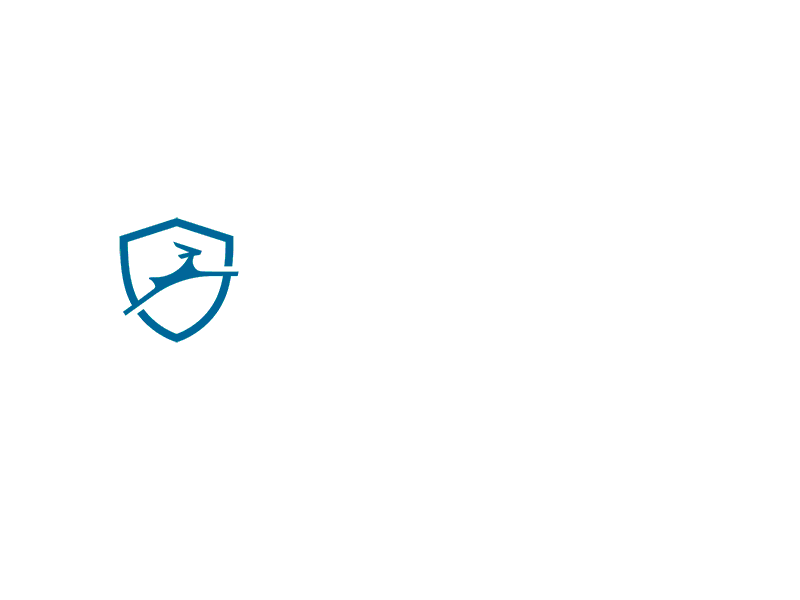 Dashlane Logo Grid Logic dashlane identity identity manager impala logo logo animation logotype password manager privacy security