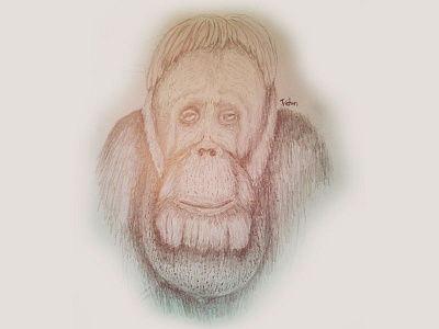 Tristan Dribbble game mobile monkey orang pencil sketch utan