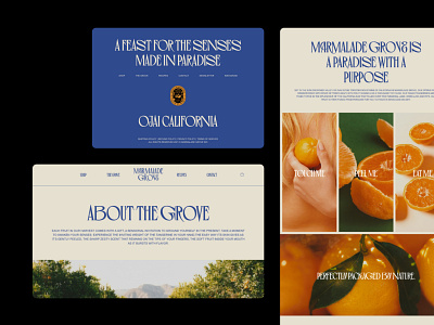 Aesthetic Website Design - Marmalade Grove