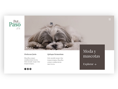 PetPaso.es pet fashion pet shop web landing