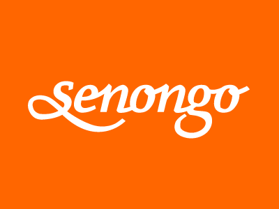 Personal Logotype branding logo logotype script senongo