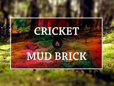 Cricket And Mud Brick- Title Card africa cricket fable mud mud brick nigeria pixel fable story