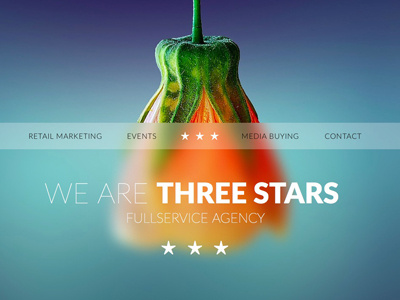 THREE STARS - template for Sparkle app application sparkle webdesign wysivyg