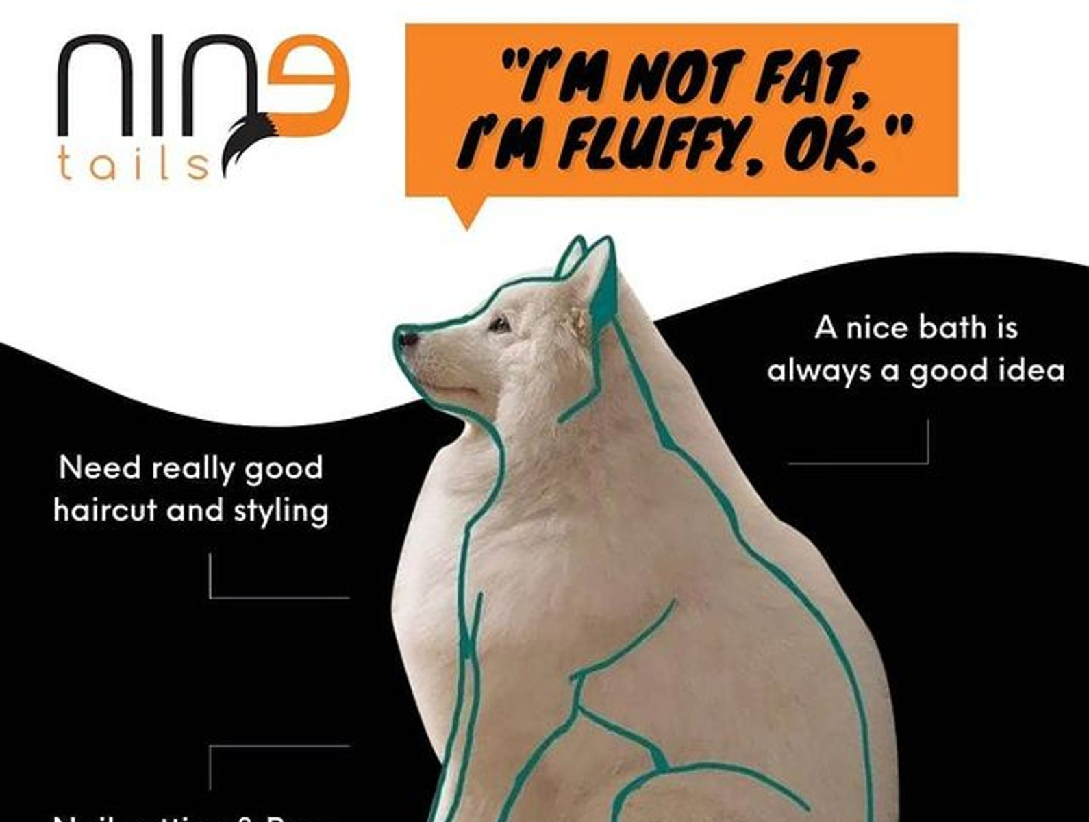 Pet Grooming in UAE (Abu Dhabi) by Martin Hen on Dribbble