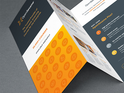 Marketing Brochure branding brochure color communications iconography marketing