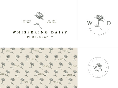 Whispering Daisy Logo botanical botanical illustration branding daisy flowers identity illustration logo organic photographer logo
