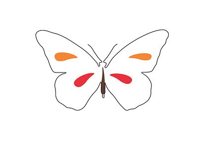 Butterfly color design graphic design illustration line art minimal vector