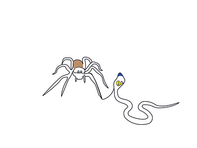 Spider and snake color design graphic design illustration line art minimal vector
