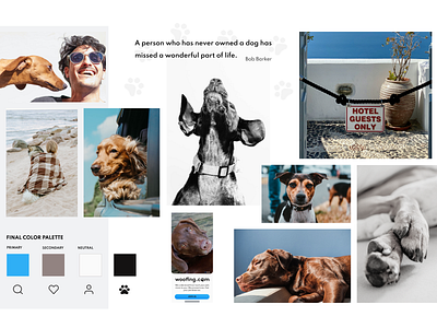 The Mood dog figma interface mobil mobilapp moodboard ui ui design