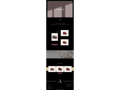 Passion project: Aspen branding design website design