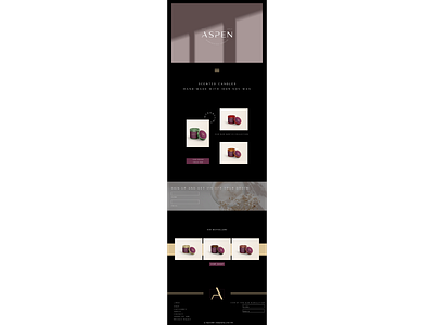 Passion project: Aspen branding design website design