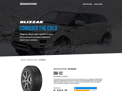 Bridgestone Tires Product View minimal product ui design visual design web design