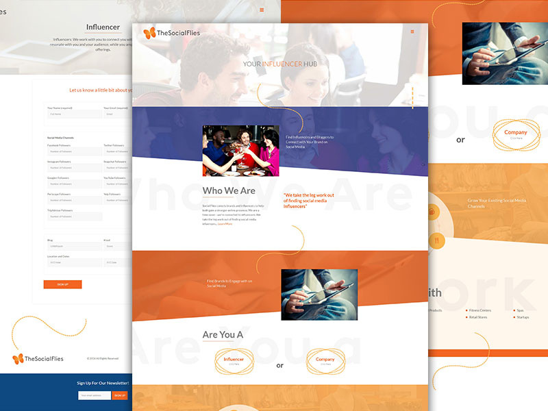 The Social Flies development ux ui