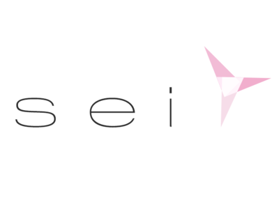 Sei Guild - Draft Logo draft icon logo personal branding typography vector