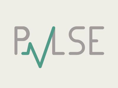 PVLSE Logo logo typography