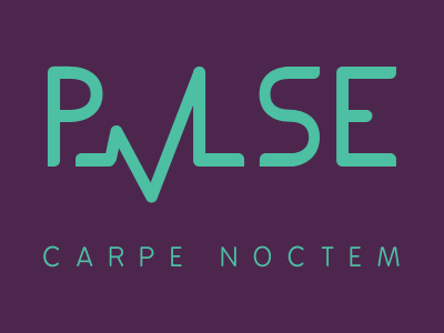 PVLSE Logo & Tagline branding logo typography