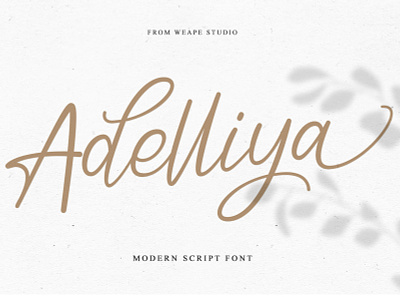 Adelliya Script Font branding calligraphy font hand lettering lettering logo poster script script font type design typedesign typography