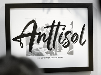Anttisol – Handwritten Brush Font brandinga brush brush font calligraphy cover book design drawing dry ink font hand lettering illustration lettering logo poster type design typography