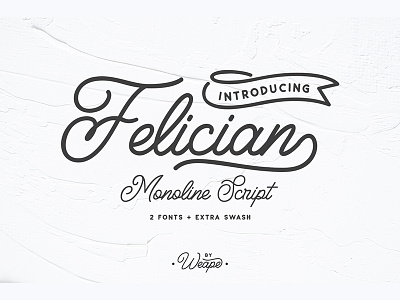 Felician Monoline Script font hand lettering lettering logo font logo maker logotype monoline script type typewritter typography