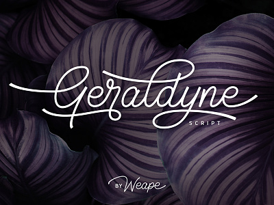 Geraldyne Script font hand lettering lettering logo font logo maker logotype monoline script type typewritter typography