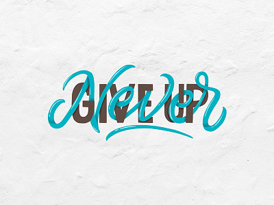 Never Give Up! calligraphy fonts hand lettering illustration lettering logo logotype quotes type design typography