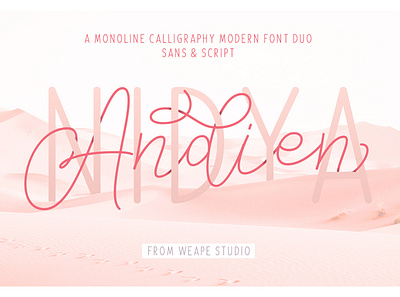 Andien Nidya Font Duo calligraphy font hand lettering illustration lettering logo logotype poster typedesign typography