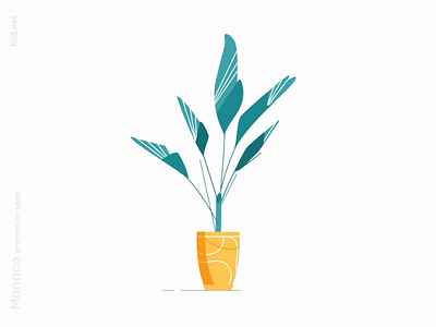 growing plant animation