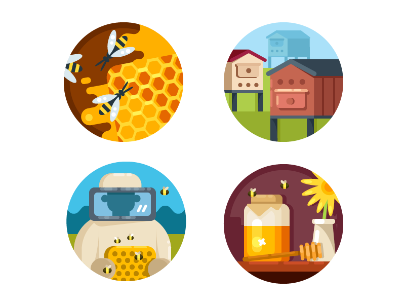 kit8 dribbble