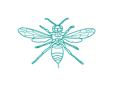 Hornet hornet illustration logo