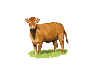 Cow brush cow digital art drawing farm illustration