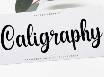 Caligraphy Font design fontdesign fonts handmade illustration logo newfont tranding typography ui