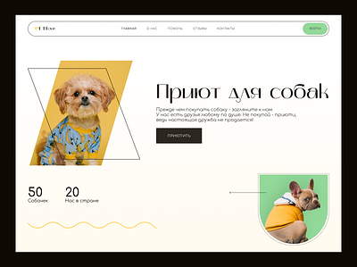 Dog shelter website design design ui web web design web design веб дизайн