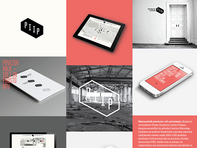 Piip branding sum app branding design development logo web