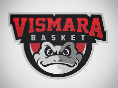 Vismara basketball cool new branding