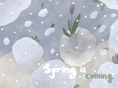 Spring card with crocuses card crocus flower flowers illustration snowball spring spring is coming