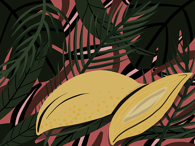 Mango fruit illustration