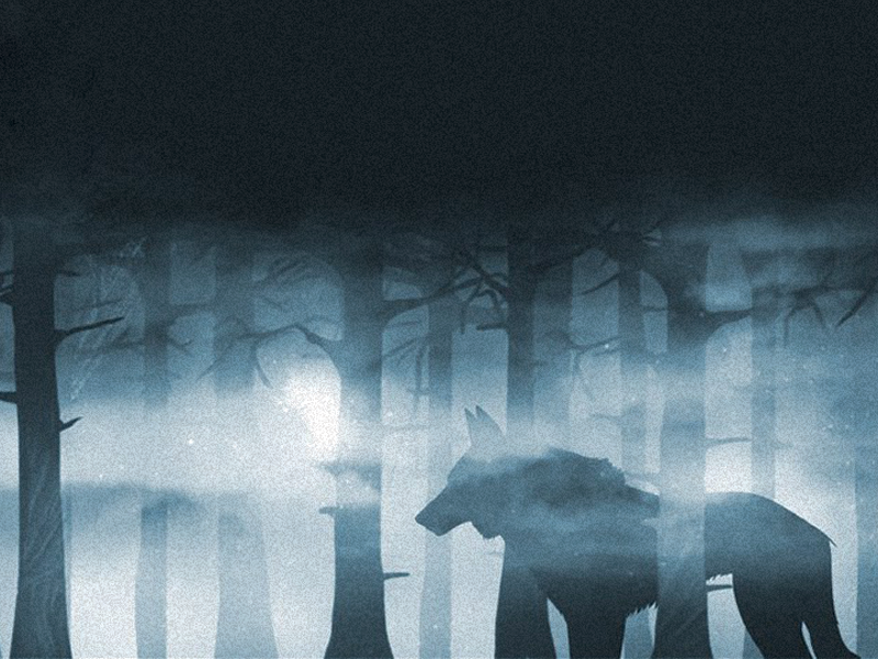 Dark Forest by Qris 3verokot on Dribbble