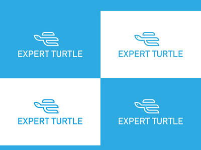 Logo "EXPERT TURTLE"